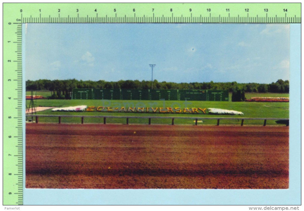 Salem N.H.  USA ( Rockingham Park Racing Track ) Post Card Carte Postale - Salem