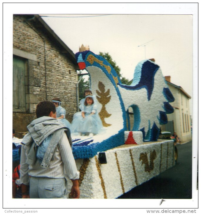 Photographie , 10 X 10 Cm , LA FERRIERE EN PARTHENAY ? , Défilé De Chars - Lieux