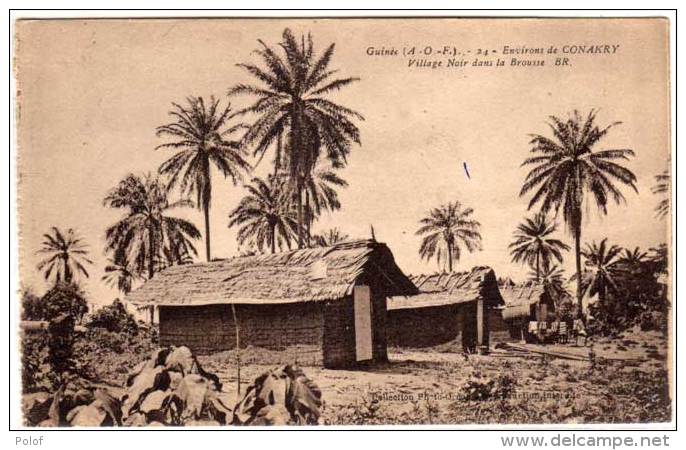 Environs De CONAKRY  - Village Noir Dans La Brousse  (58650) - Guinée