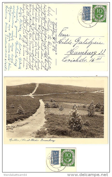 AK 10 Sprötze / Lüneb. Heide, Brunsberg 04. 9. 52 - 17 - Lüneburger Heide