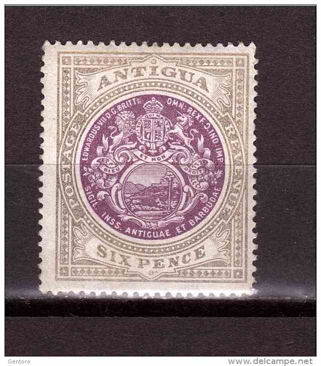 ANTIGUA 1903 Coat Of Arm  King Eduard VII Yvert Cat N° 24  Watermark CC  Mint No Gum - 1858-1960 Colonie Britannique