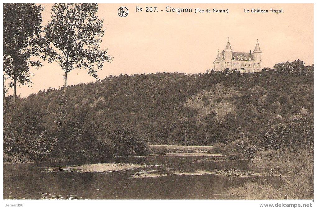 NA142- CIERGNON: Le Château Royal - Autres & Non Classés