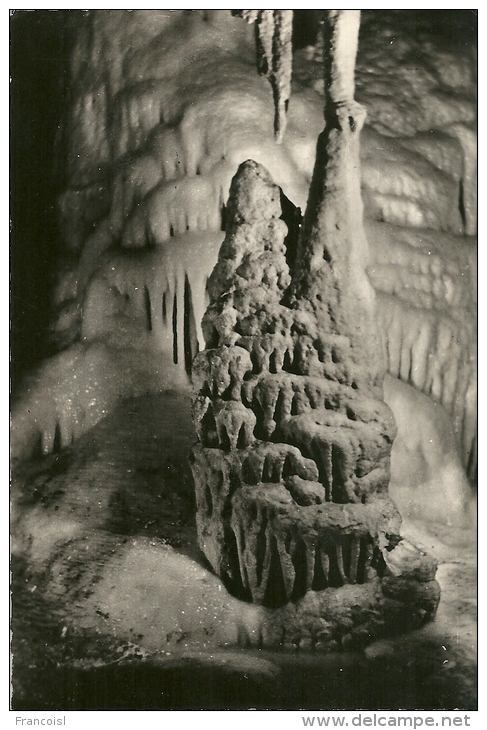 Monaco. La Grotte De L'Observatoire. Angkor. - Exotische Tuin