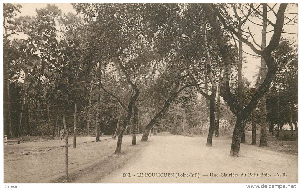 LE POULIGUEN UNE CLAIRIERE DU PETIT BOIS - Le Pouliguen