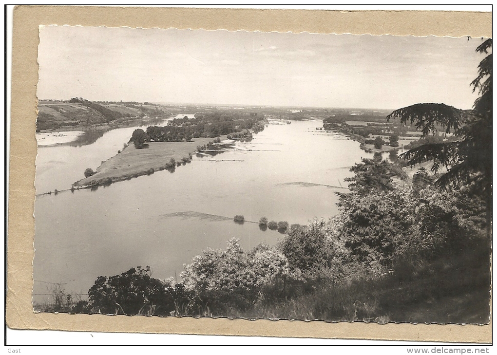 49  CHAMPTOCEAUX     VUE  SUR  LA  LOIRE   L  ILE  NEUVE - Champtoceaux