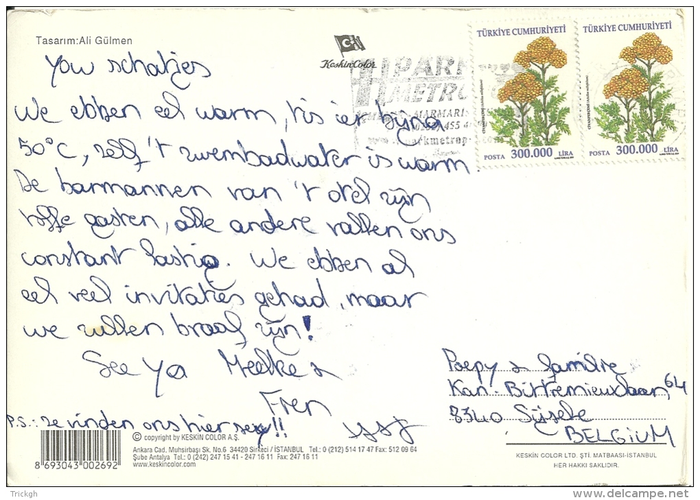 Türkiye 2001 &gt;&gt; Sijsele Belgium / Fleur Flower - Storia Postale