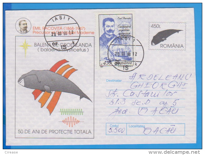 Greenland Whale, Emil Racovita Scientist ROMANIA  Postal Stationery 1997 - Wale