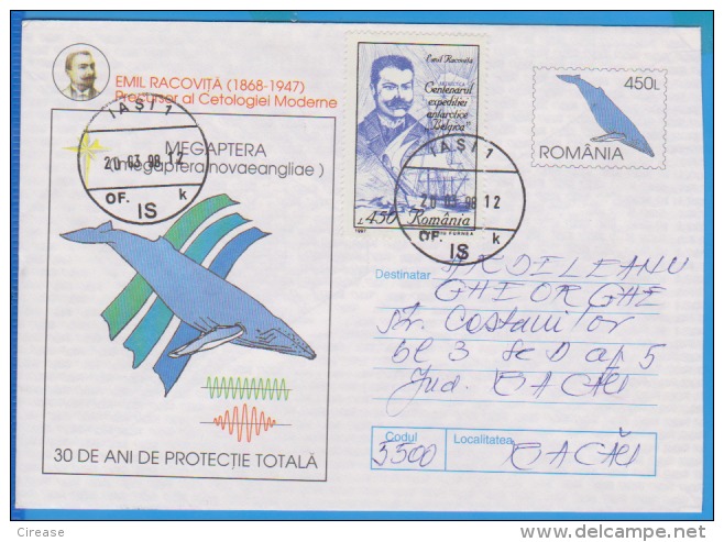 Whale Megaptera, Emil Racovita Scientist ROMANIA  Postal Stationery 1997 - Baleines