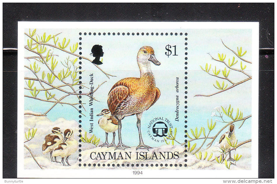 Cayman Islands 1994 West Indian Whistling Duck S/S MNH - Cayman Islands