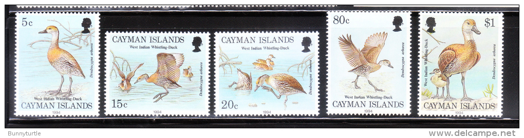 Cayman Islands 1994 West Indian Whistling Duck MNH - Kaimaninseln