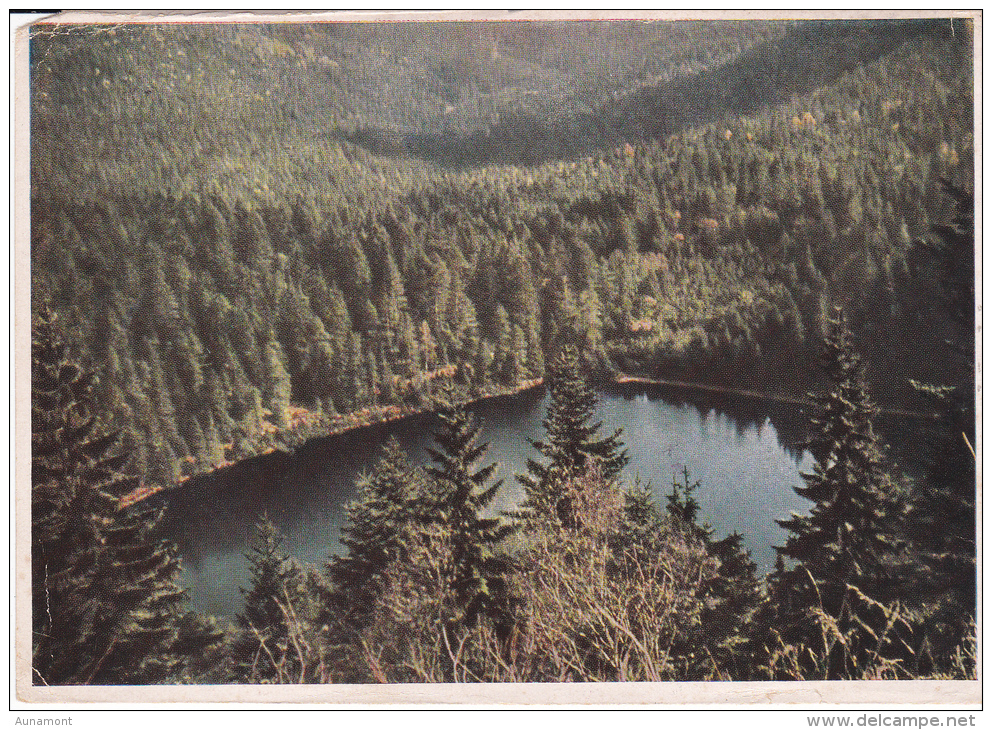 Alemania-Baden-Wurtemberg -Wildsee.Nordl  Scharzwald - Karlsruhe