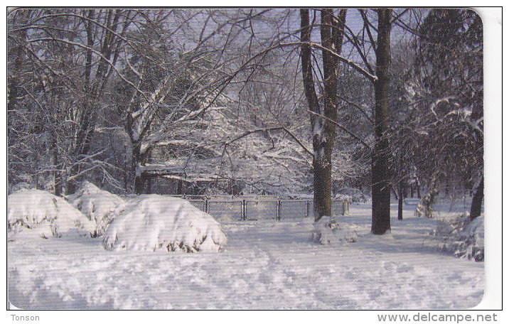 Romania, ROM-276, Winter 2, 2 Scans. - Roumanie