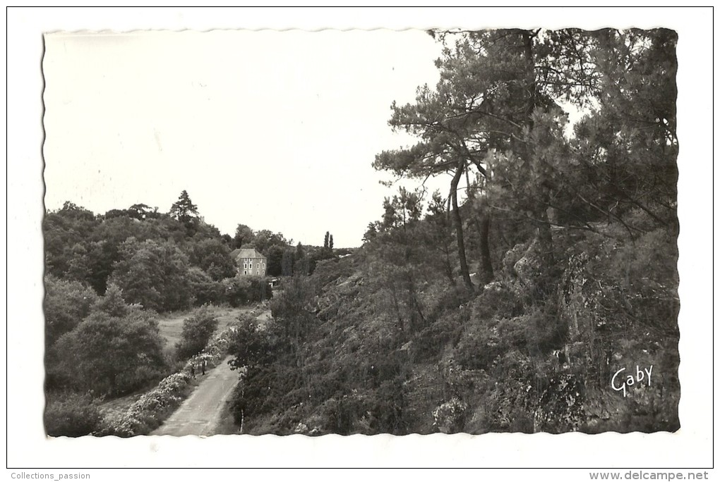 Cp, 56, Muzillac, Chemin De Pen Mur Et Champ De Bataille - Muzillac