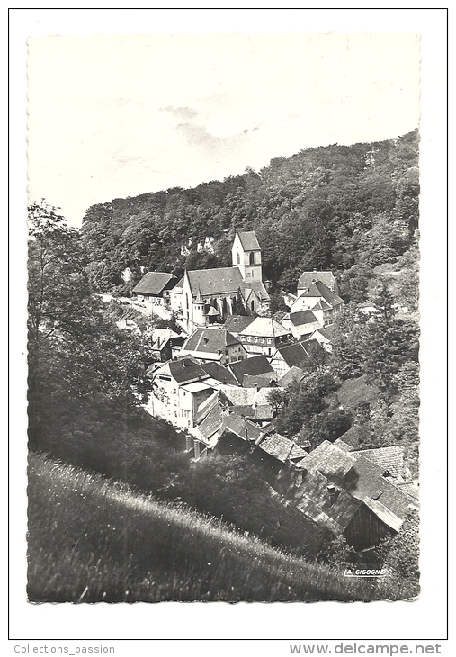 Cp, 68, Ferrette, La Ville Basse Et L'Eglise - Ferrette