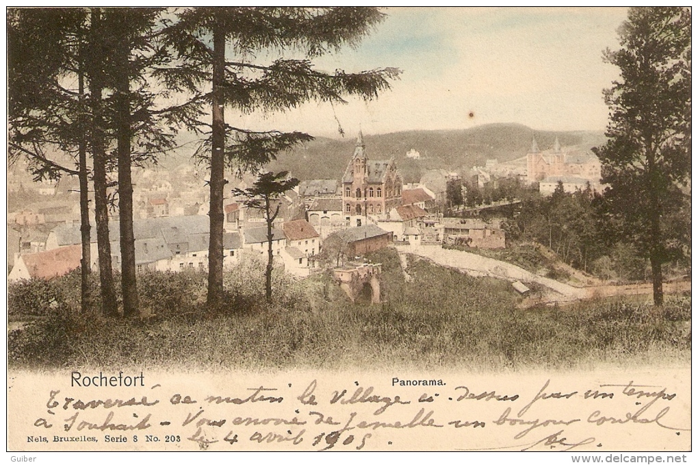 Rochefort Panorama Nels Serie 8 N° 203 Couleur! 1905 - Rochefort