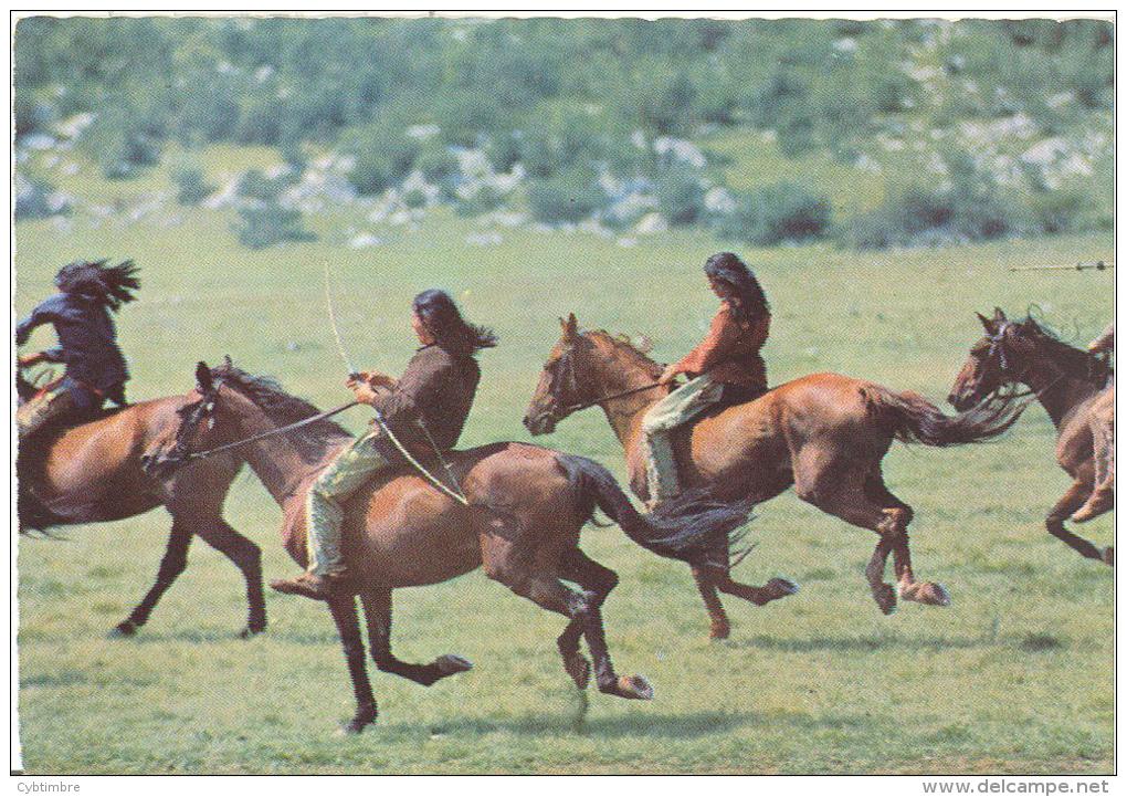 Allemagne: Carte Postale,  Eine Szene Aus Dem Rialto Constantin Farbfilm  Winnetou; Indiens à Cheval; Voir Les 2 Scans - Acteurs