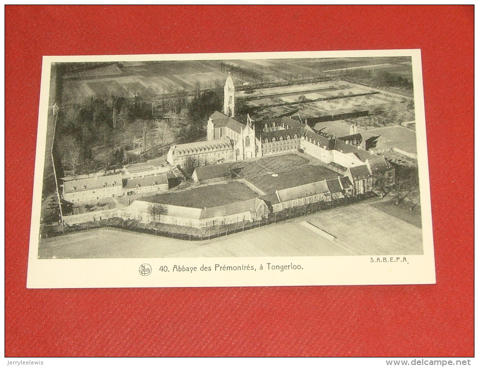 TONGERLOO  -  Abdij  -  Abbaye Des Prémontrés - Westerlo