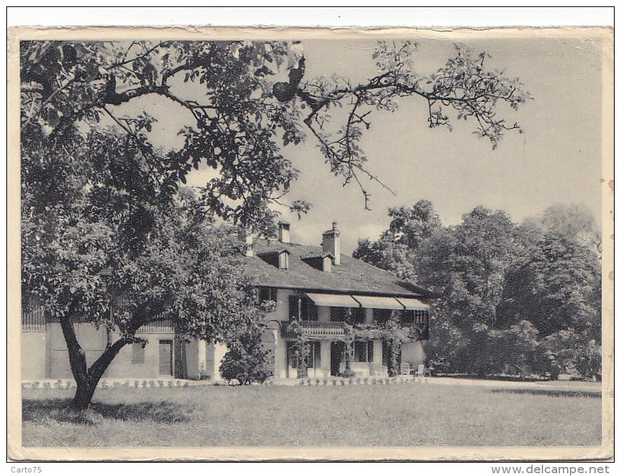 Suisse -  Céligny - Parc  Villa La Petite Coudre - Cachet Oblitération - Céligny