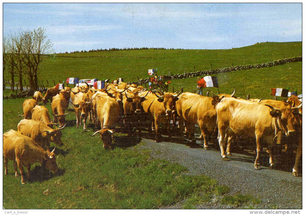 CPM 48 SUR LES MONTS D'AUBRAC LA TRANSHUMANCE - Aumont Aubrac