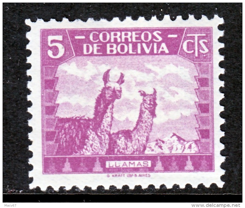 Bolivia 253   **     FAUNA  LLAMA - Bolivie