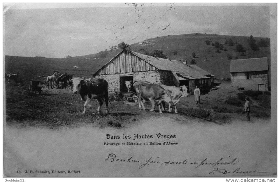 Dans Les Hautes Vosges : Paturage Et Métairie Au Ballon D´Alsace - Autres & Non Classés