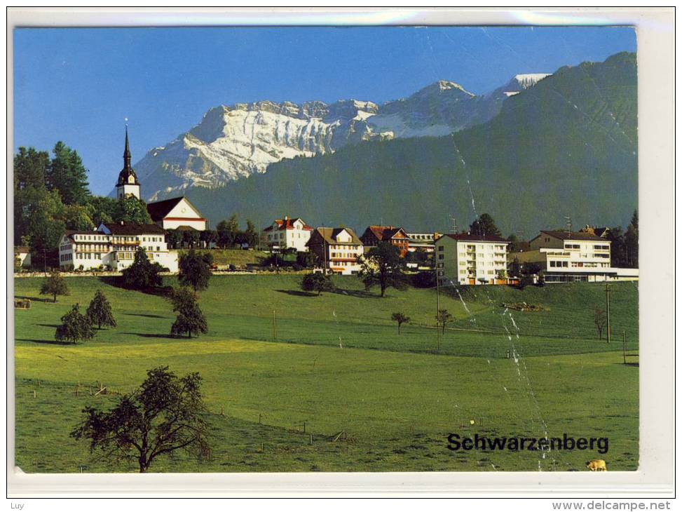 SCHWARZENBERG (LU) - Erholungs- Und Wandergebiet, Panorama,  Nice Stamp - Schwarzenberg