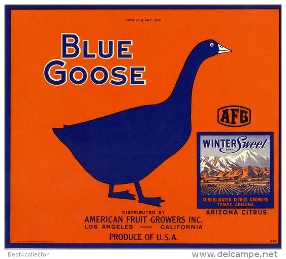 @@@ MAGNET - Tempe Arizona Winter Sweet Blue Goose Orange Citrus Fruit - Publicidad