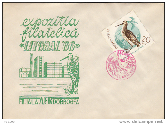 SEAGULLS, SPECIAL COVER, 1966, ROMANIA - Mouettes