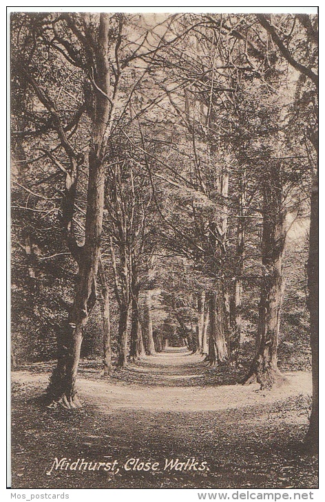 Sussex Postcard - Close Walks, Midhurst, Sussex   AA551 - Other & Unclassified