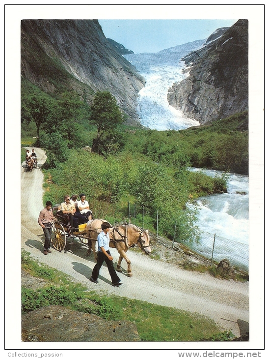 Cp, Norvège, Tourists Visiting The Briksdal Glacier - Norvège