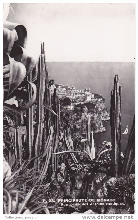 Cp , PRINCIPAUTÉ De MONACO , Vue Prise Des Jardins Exotiques - Exotic Garden