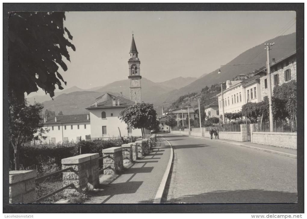 5369-SCURELLE(TRENTO)-INGRESSO PAESE-FG - Trento