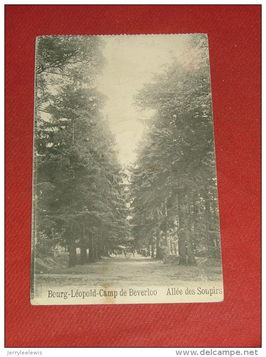 LEOPOLDSBURG - BOURG-LEOPOLD   - Camp De Beverloo - Allée Des Soupirs  -  1914 - Leopoldsburg