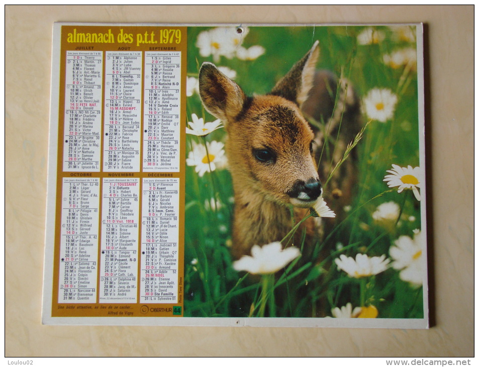 Calendrier ALMANACH DU FACTEUR PTT - 1979 - Animaux - OBERTHUR - Nord 59 - Bon état - Kleinformat : 1971-80