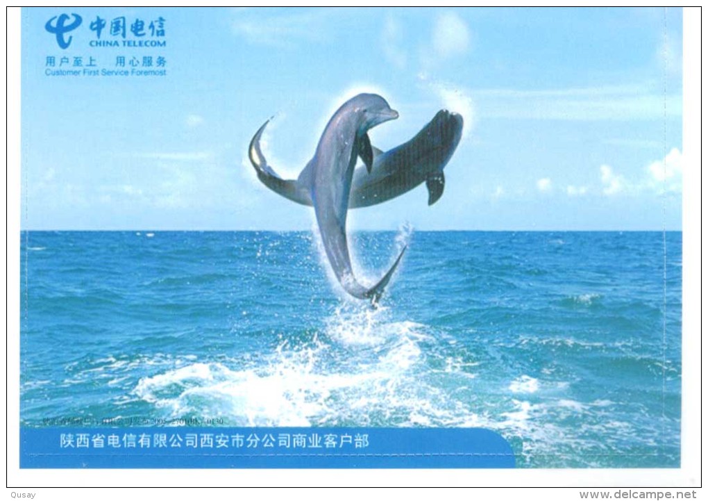 Dolphins Marine Mammals ,   Specimen    Prepaid Card , Postal Stationery - Dolphins