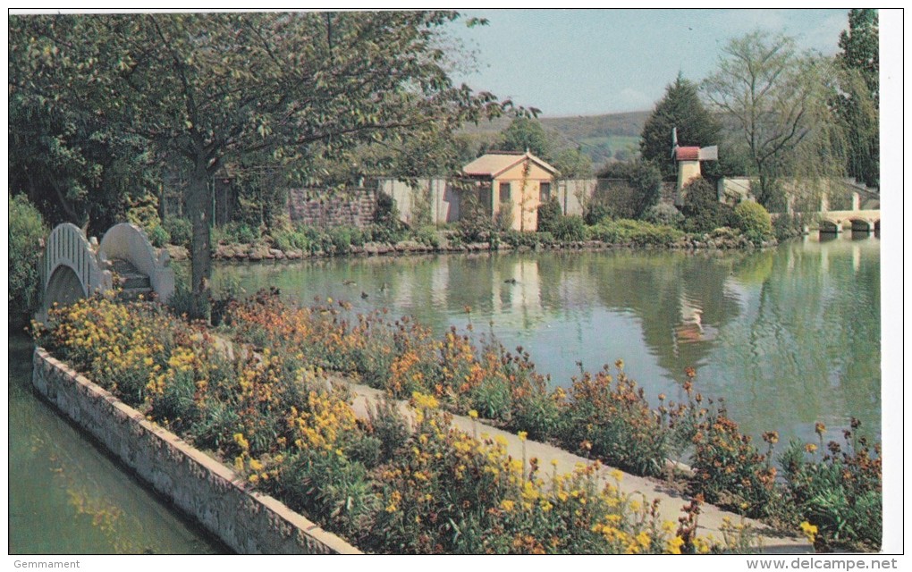 WEARE - AMBLESIDE WATER GARDENS - Other & Unclassified