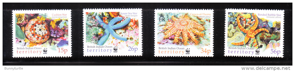 British Indian Ocean Territory BIOT 2001 Starfish WWF MNH - Territoire Britannique De L'Océan Indien