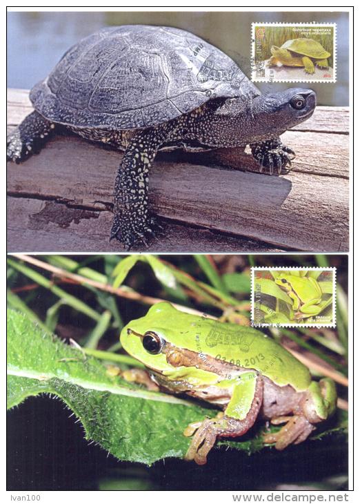 2013, Natural Reserves, Jagorlyk, Reptilies & Amphibies, 5 Maxicards, Mint/** - Schlangen