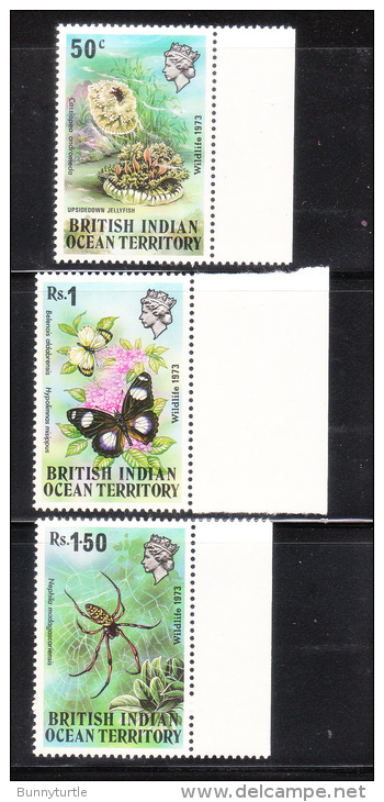 British Indian Territory 1973 Jellyfish Spider MNH - British Indian Ocean Territory (BIOT)