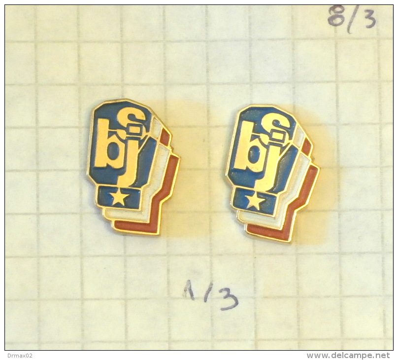 Boxing Federation Of Yugoslavia - Lot Of 2 Pins (gold & Silver Color) - Boksen