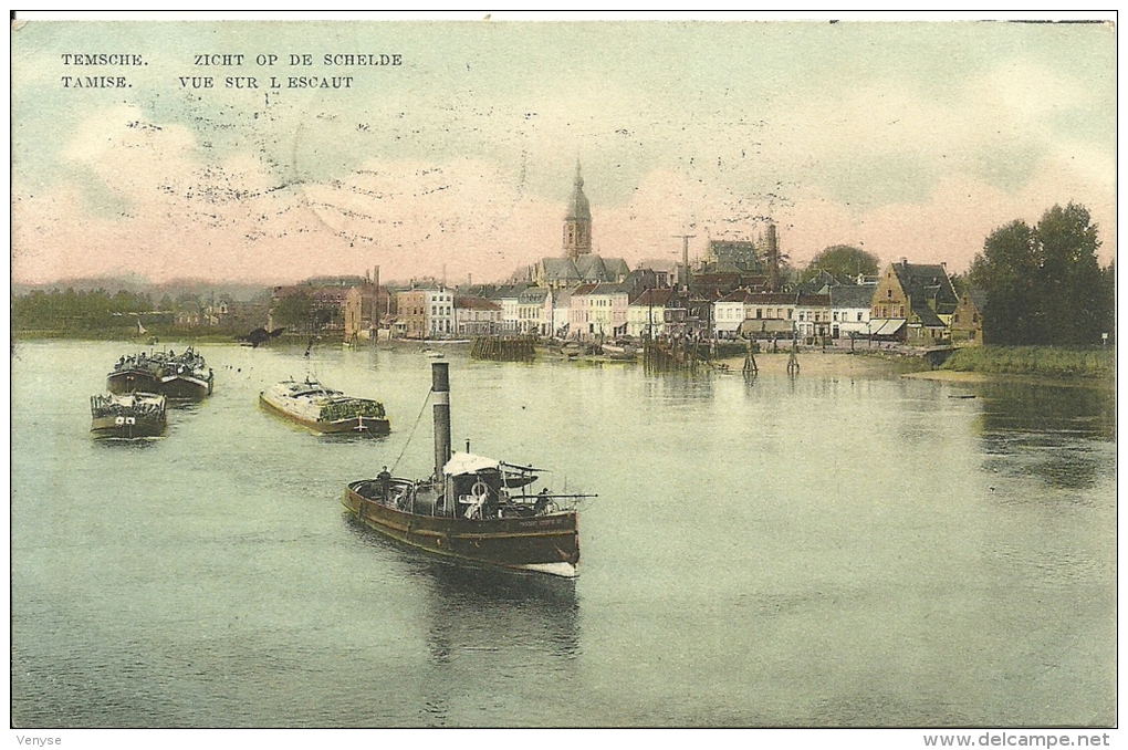 TAMISE - Vue Sur L'Escaut  ¤ TEMSCHE - Zicht Op De Schelde  1909 - Temse