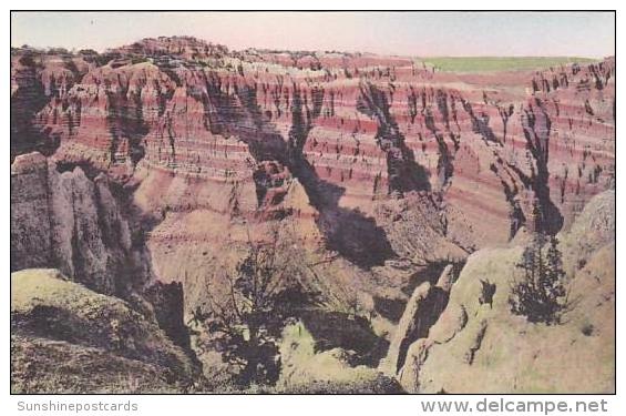 South Dakota Wall Coyote Canyon Badlands National Monument Albertype - Other & Unclassified