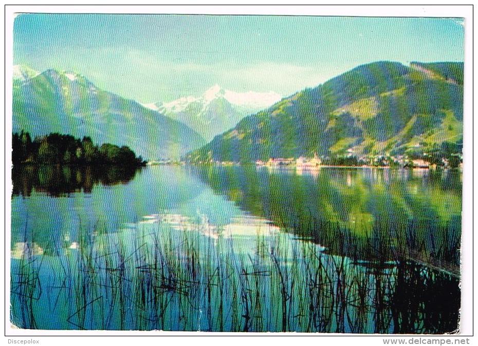 C2943 Zell Am See Mit Hohem Tenn - Imbachhorn Und Kitzsteinhorn / Viaggiata 1959 - Zell Am See