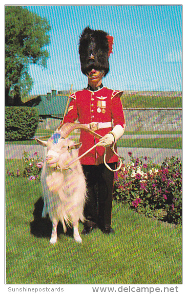 Corporal With Mascot Baptiste 22e Regiment La Citadelle Quebec Canada - Police - Gendarmerie