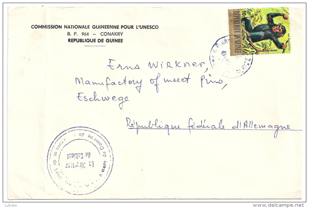 Luftpost Brief  Conakry Guinee - Eschwege  (Schimpansen Motiv)                1976 - Chimpanzees