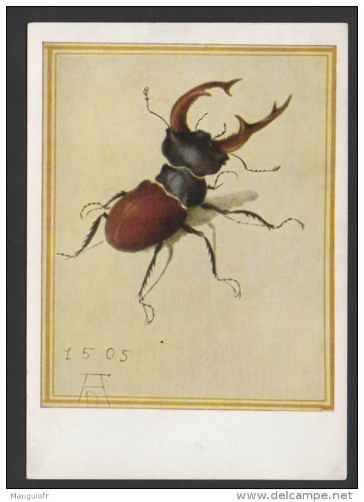 DF / ANIMAUX / INSECTES / LE CERF-VOLANT ( GRAVURE D' ALBRECHT DÜRER ) EN 1505 - Insectes