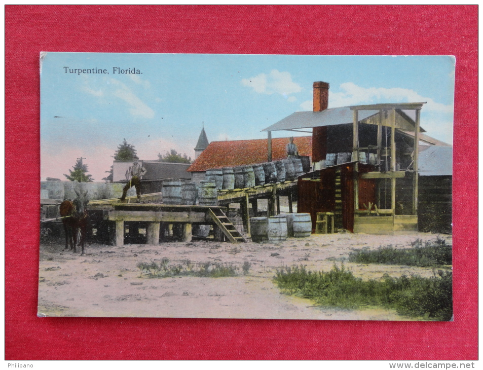 - Florida -- Turpentine  Ca 1910  Not Mailed  --  Ref  1045 - Daytona