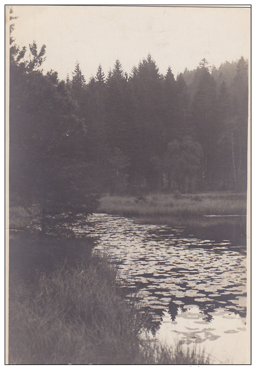 RP, Seerosenwinkel, Herrenwieser See (Baden-Wurttemberg), Germany, 1920-1940s - Herrenberg