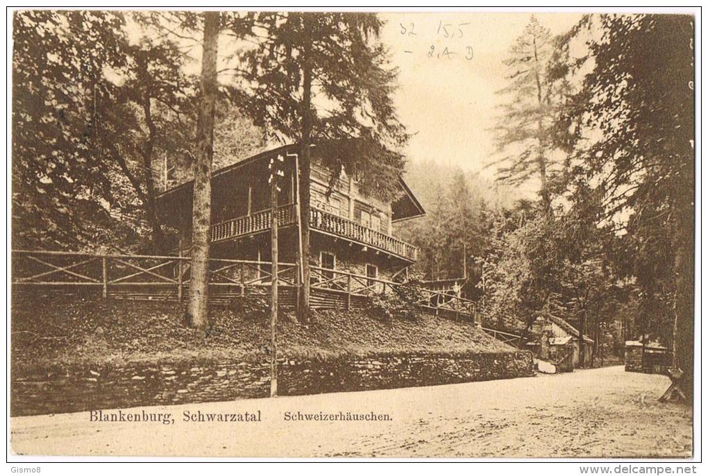 AK Von Blankenburg Schwarzatal Schweizerhäuschen Mit Schönem Bahnpoststempel ERFURT-SAALFELD ZUG309 25.7.10 (?)3 - Bad Blankenburg