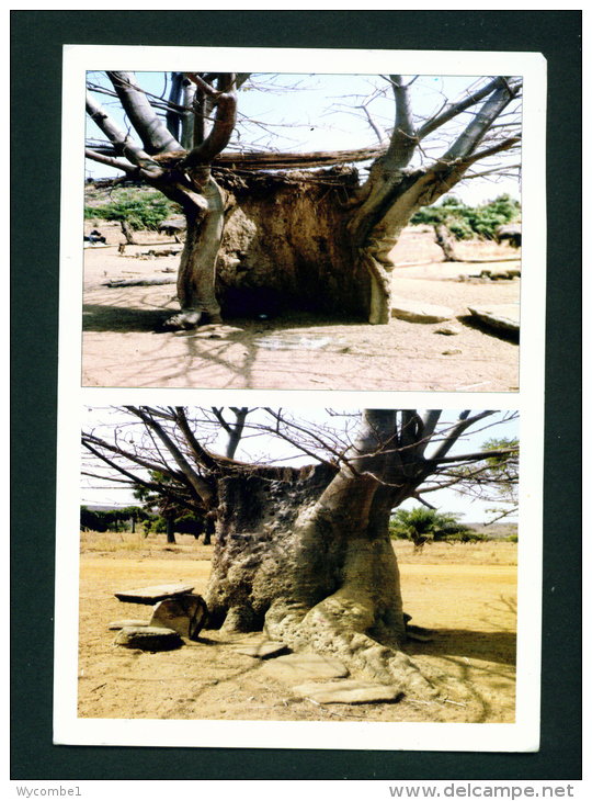 TOGO - Baobab De Bitchienga - Tone Postcard Used To The UK As Scans - Togo